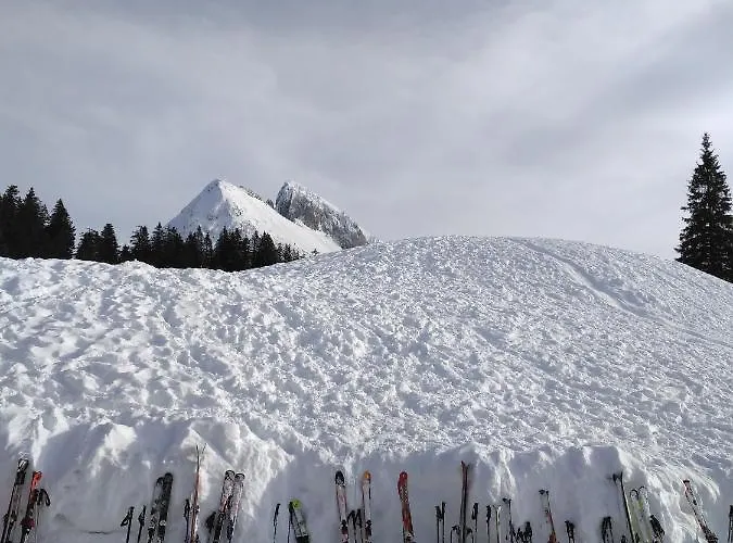 Apartmán Leh Annaberg im Lammertal