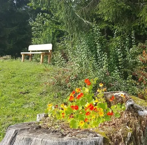 Leh Apartmán Annaberg im Lammertal