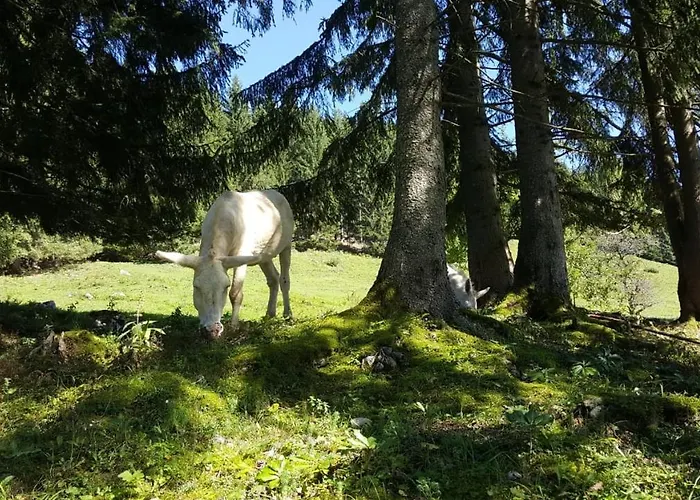Apartmán Leh Annaberg im Lammertal